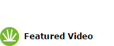 Featured Video
