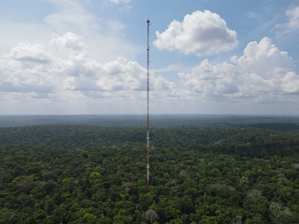 Amazon_Tall_Tower_Observatory